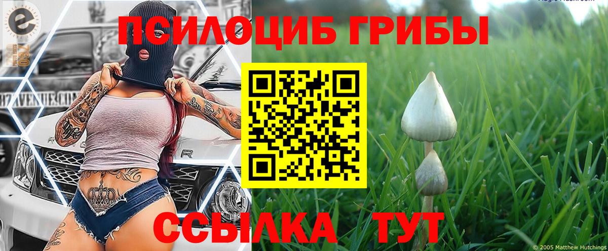 Галлюциногенные грибы прущие грибы  Вход с VPN  Ижевск 